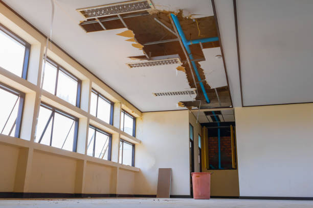Best Flood damage cleanup  in Clermont, FL