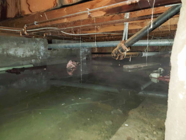 Best 24-hour water damage restoration  in Clermont, FL
