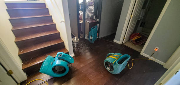 Best Ceiling water damage repair  in Clermont, FL