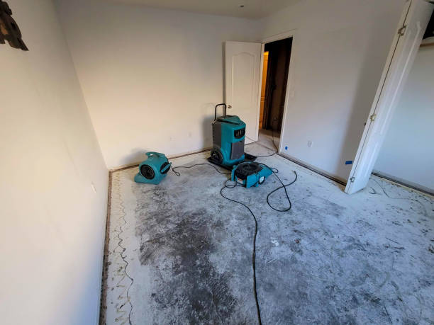 Best Commercial water damage restoration  in Clermont, FL