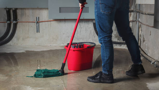 Best Carpet water damage restoration  in Clermont, FL
