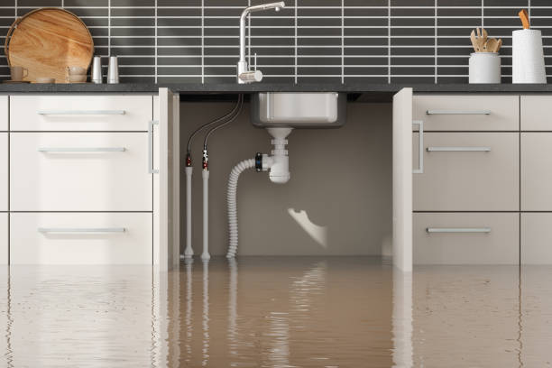 Best Residential water damage restoration  in Clermont, FL