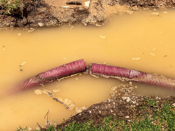 Best Emergency water damage restoration  in Clermont, FL