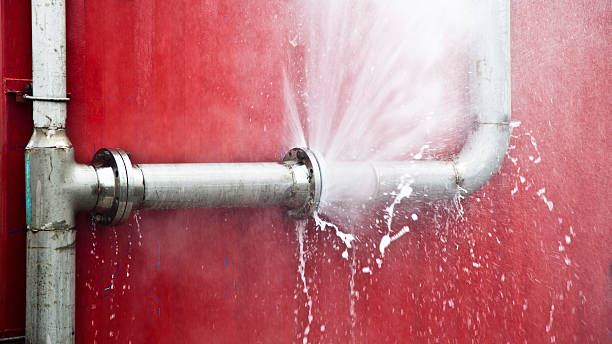 Best Water damage cleanup near me  in Clermont, FL